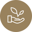 技術(shù)優(yōu)勢(shì)